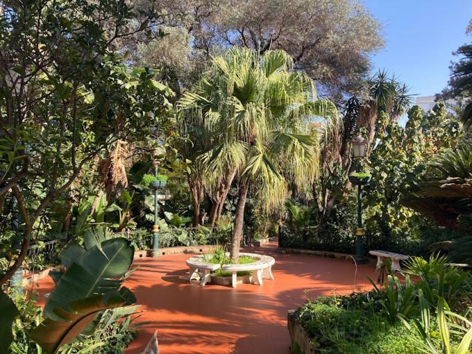 Hotel El Djazair El Mouradia 외부 사진