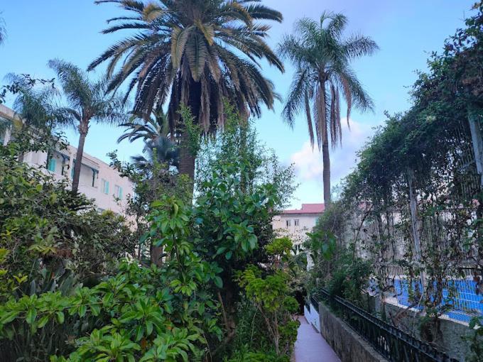 Hotel El Djazair El Mouradia 외부 사진